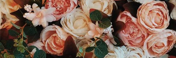 cecy_dgo's profile banner image