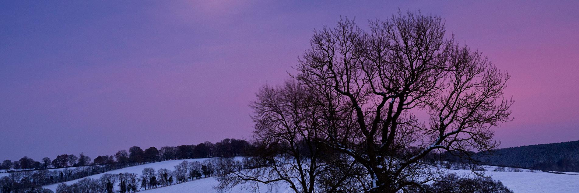 JAlessandro1's profile banner image