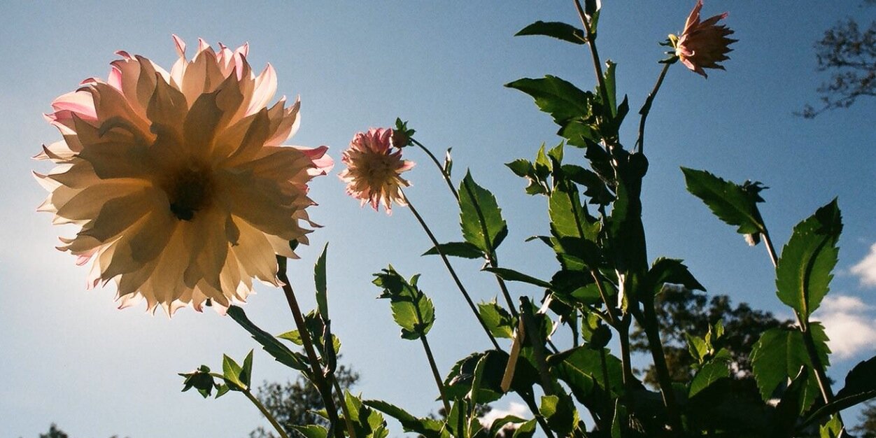 sustkings's profile banner image