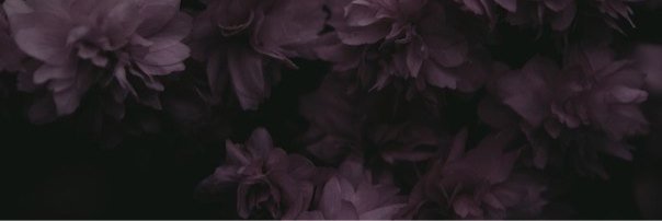 olgamakeenko88's profile banner image