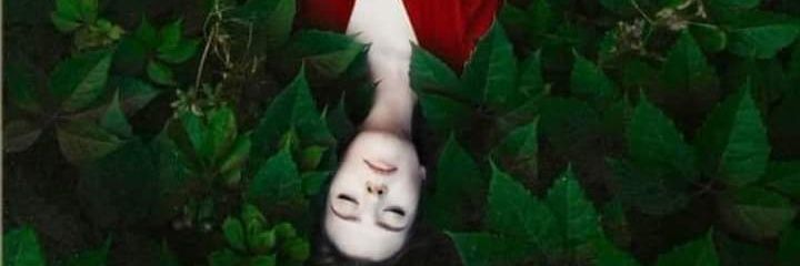 fersiluu's profile banner image