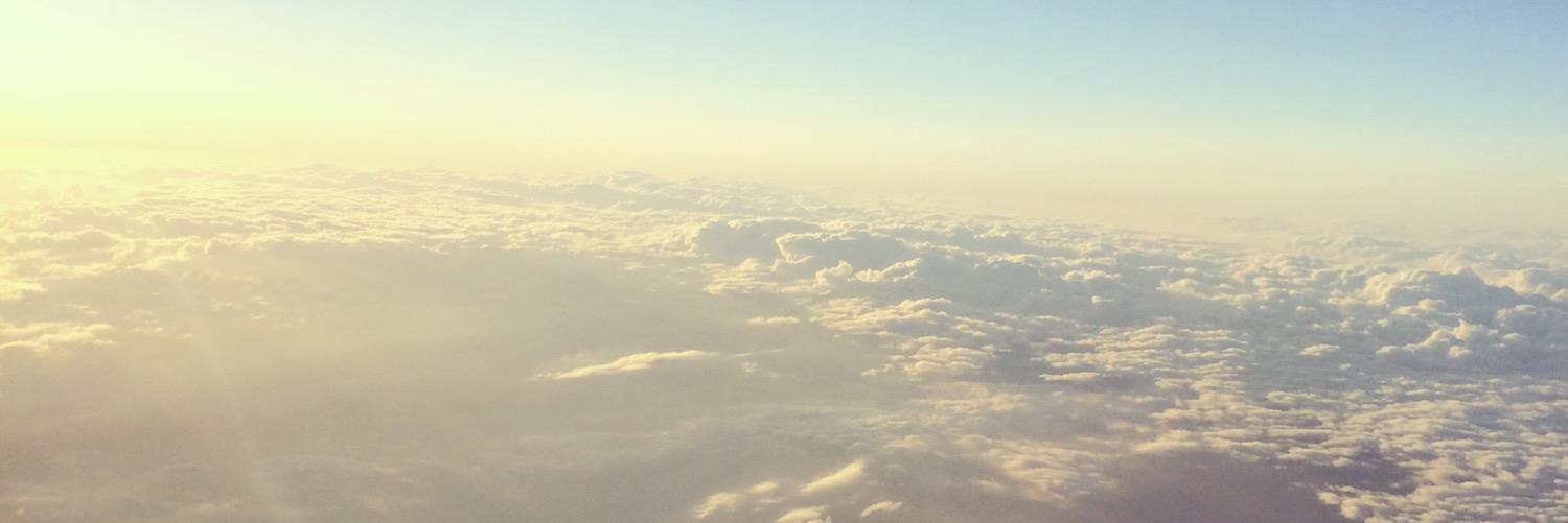Samantha J McKinnon banner