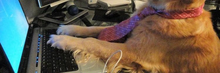 zatechbru's profile banner image
