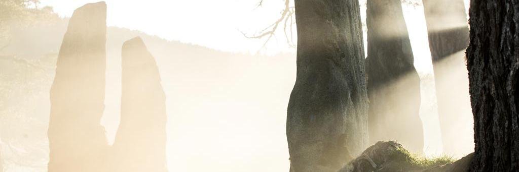 OutlanderLife's profile banner image