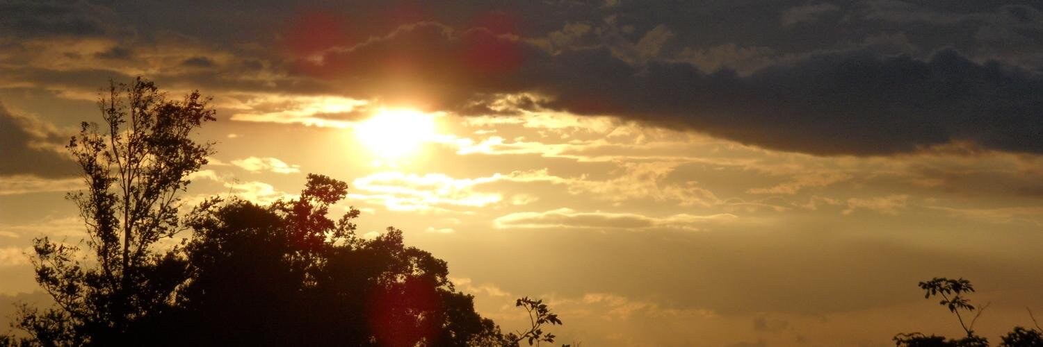 migue_'s profile banner image