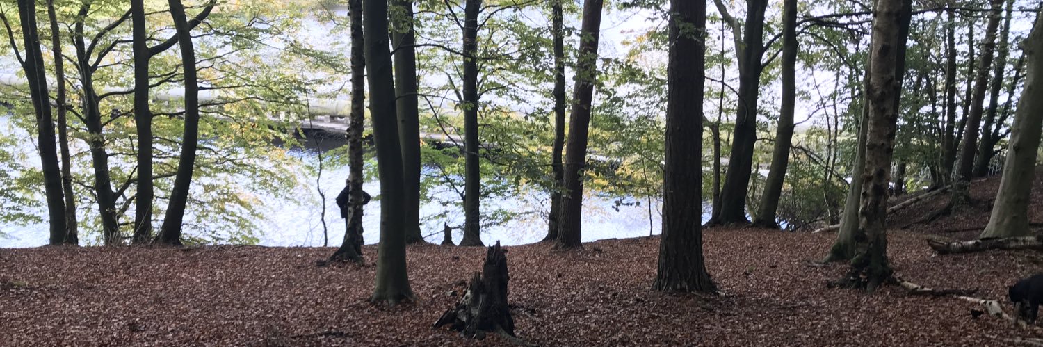 Julianaccp's profile banner image