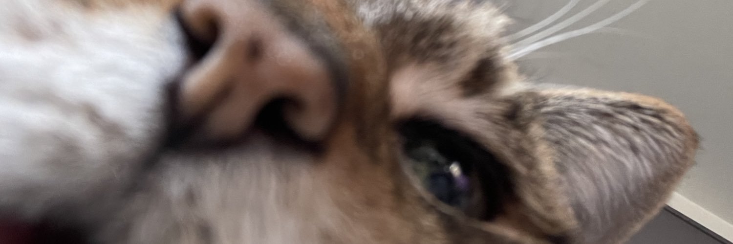 trinister_'s profile banner image