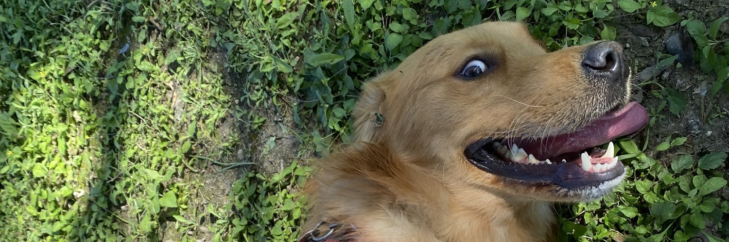zpdaa's profile banner image