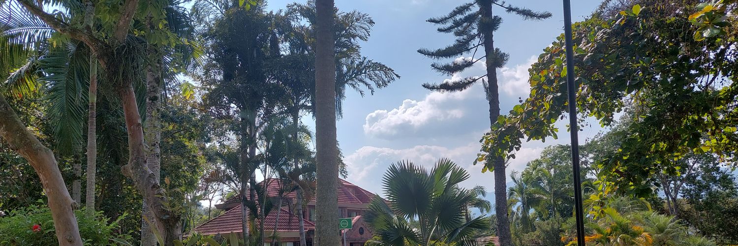 catalinani93's profile banner image