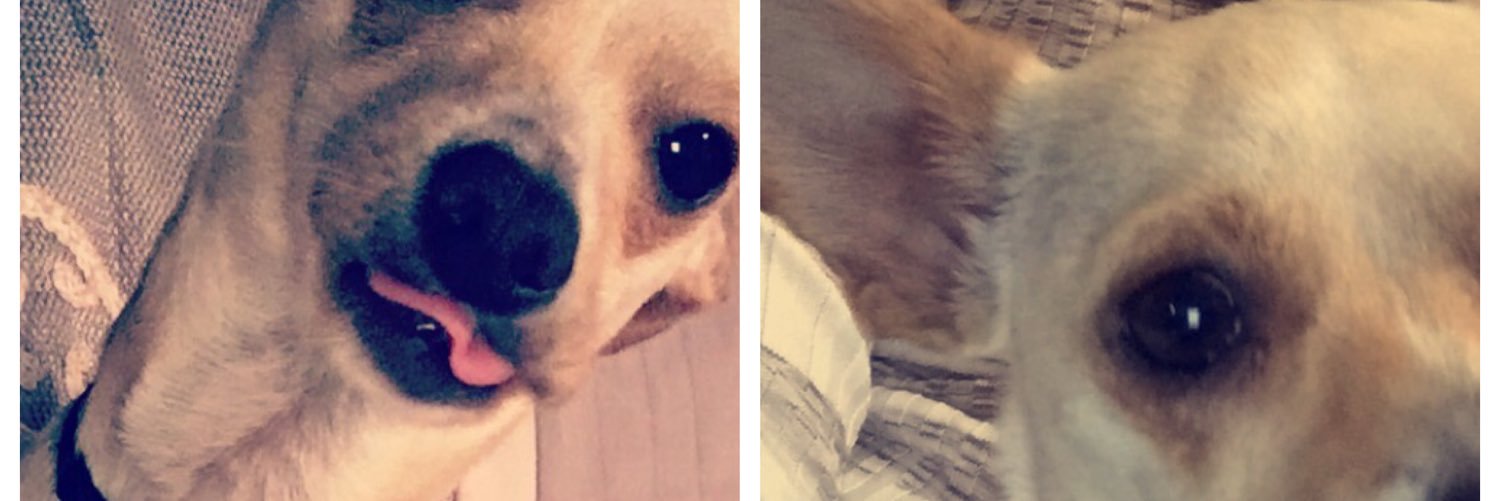SadieReneeSmith's profile banner image