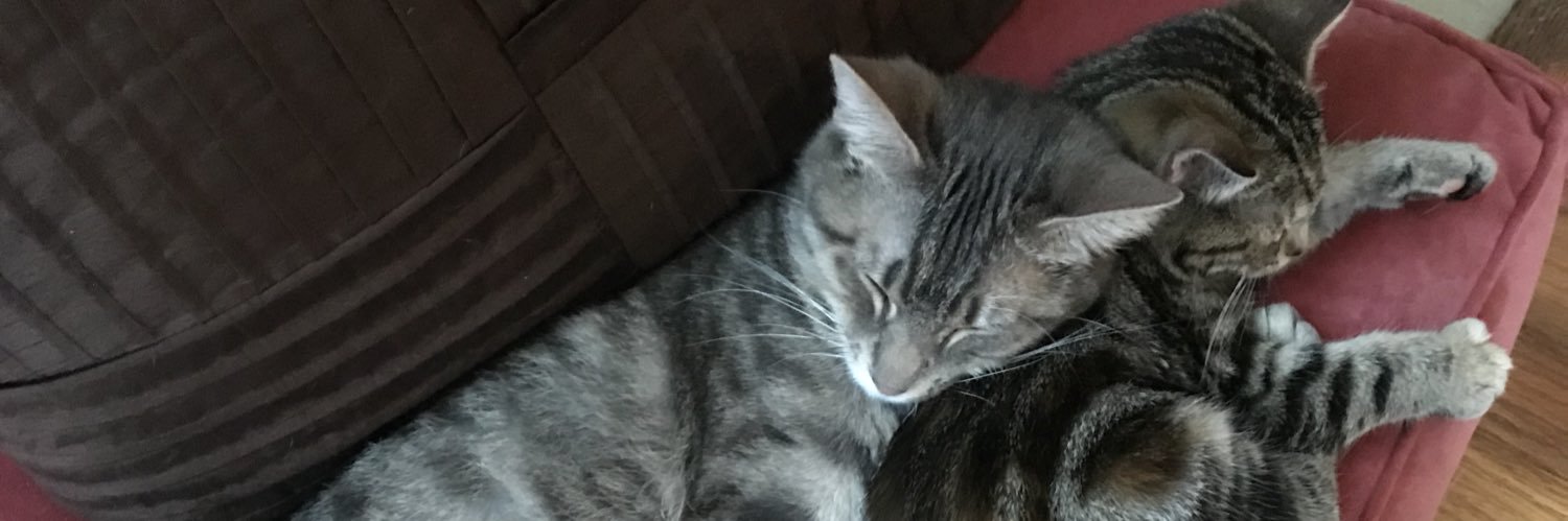 LCatherwoo's profile banner image