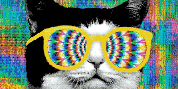 TheRealestTodd's profile banner image
