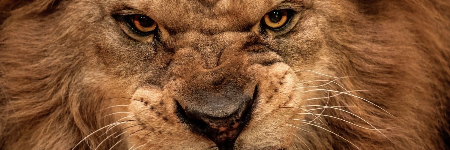 1nthechamber's profile banner image