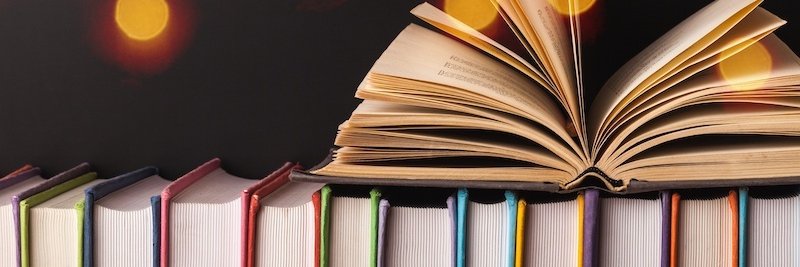 Lydia McGuire banner