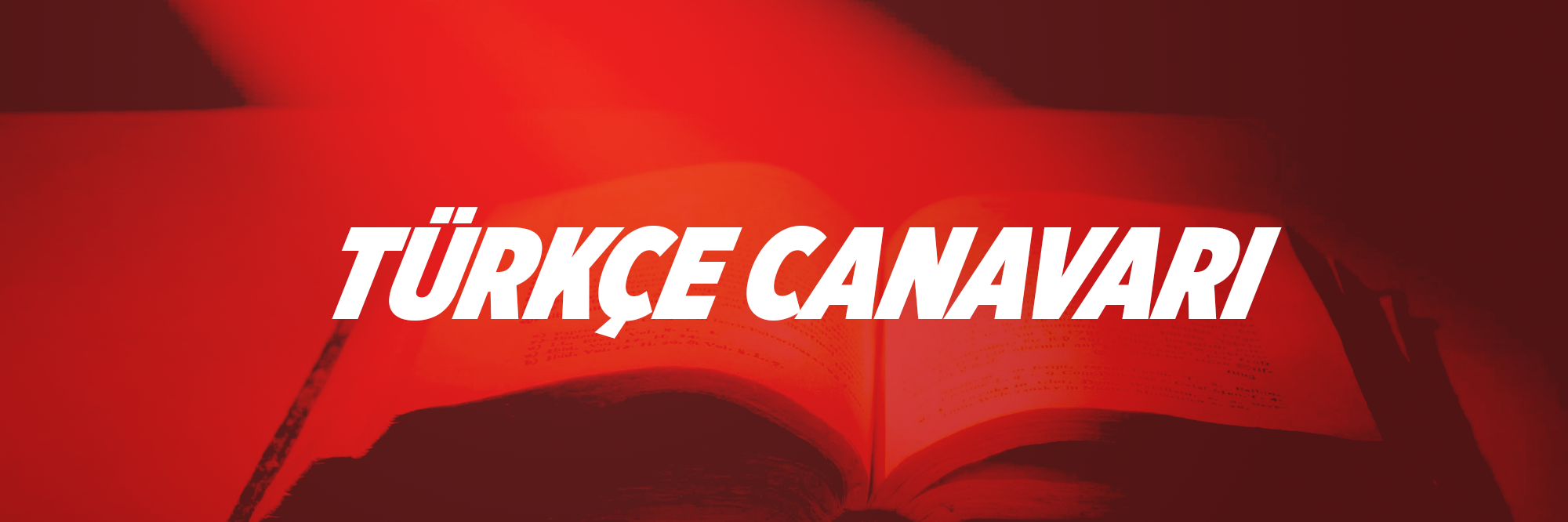 TurkceCanavari's profile banner image
