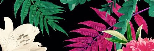 Maorodes10's profile banner image