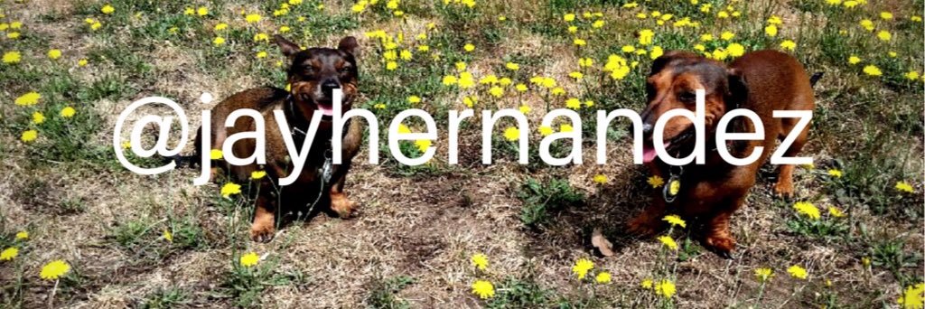 jayhernandez's profile banner image