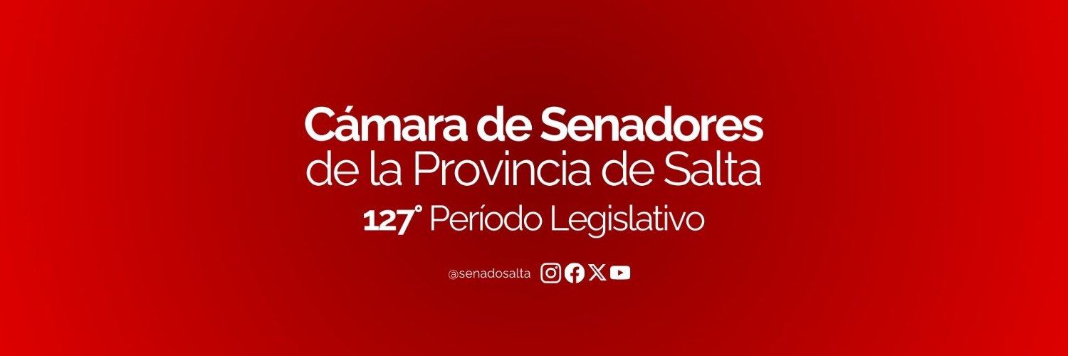 Senado Salta banner