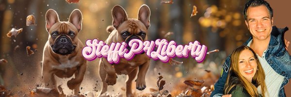 SteffiP4Liberty Profile Banner