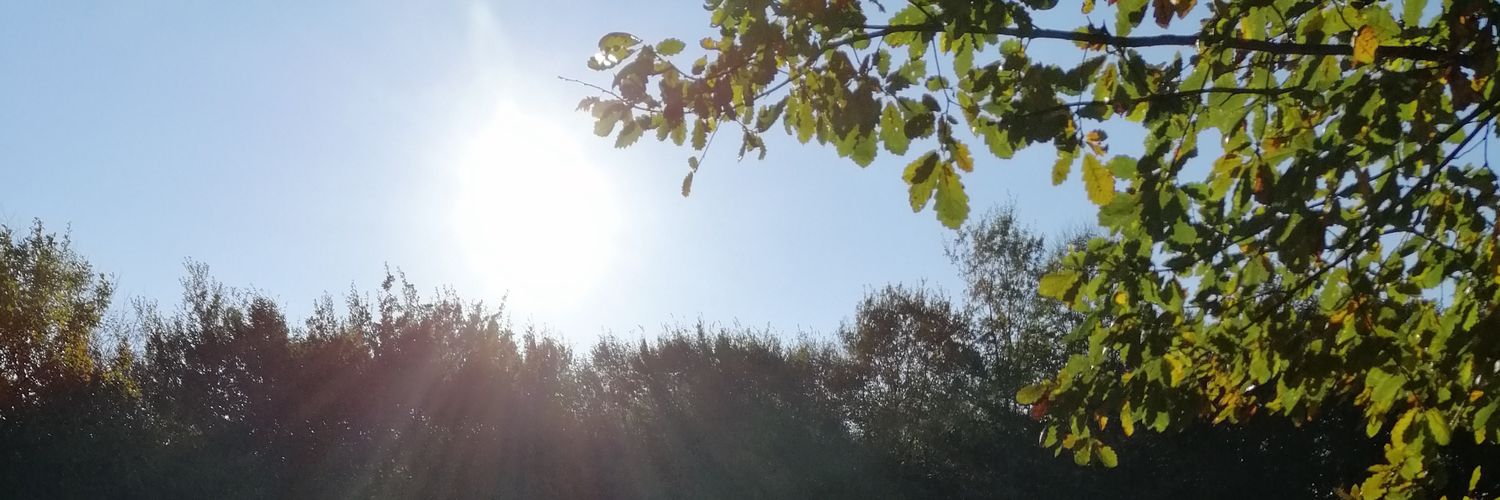 shrcbn's profile banner image