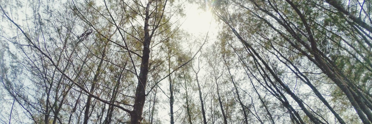beyyyaaa's profile banner image