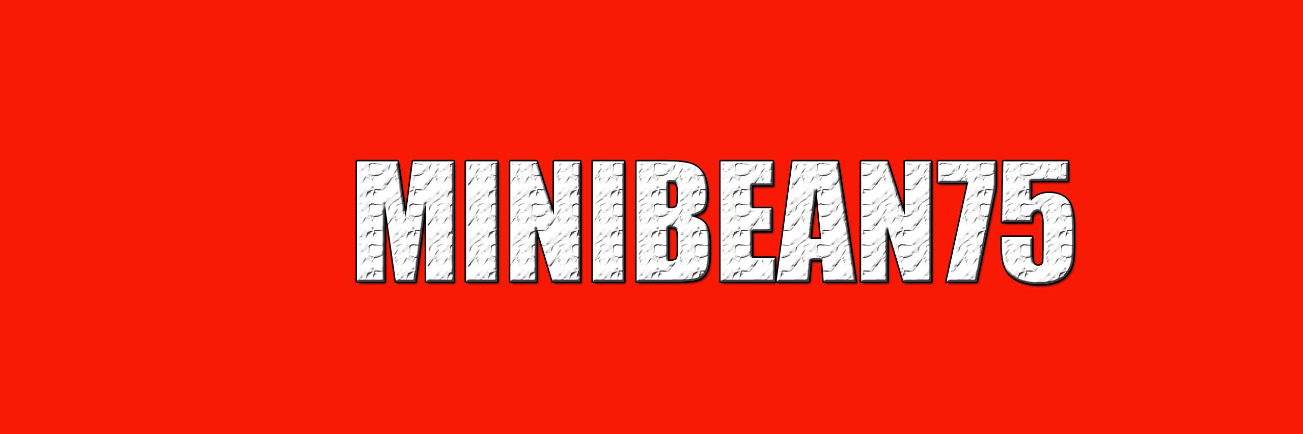 MINIBEAN75's profile banner image