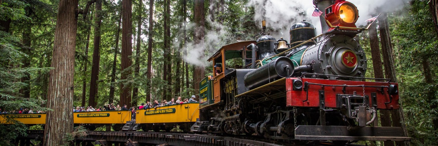 Roaring Camp banner