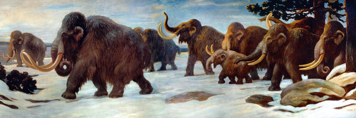 Jason Gantenberg banner