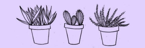 SineadDemi's profile banner image