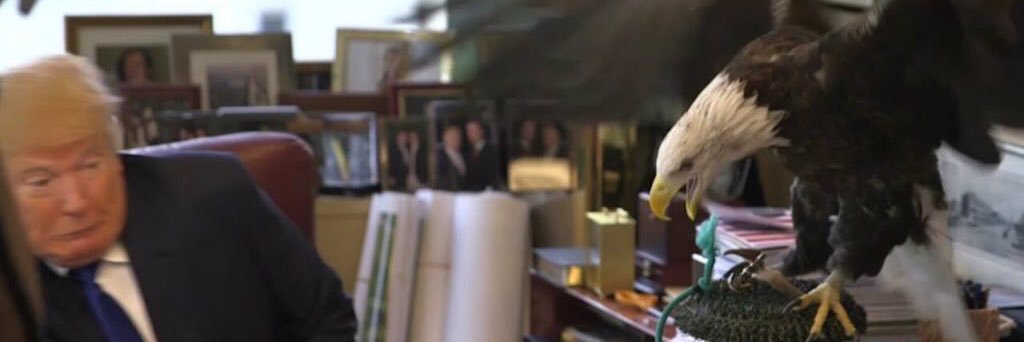 macguffin7's profile banner image