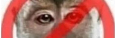 valenthaen's profile banner image