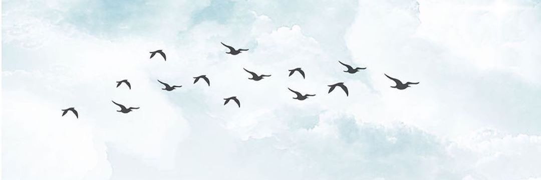 اللؤلؤة🕊️ banner