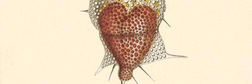 Doug Collette banner