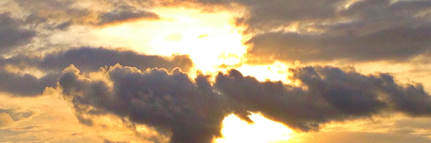 BossGaraaa's profile banner image