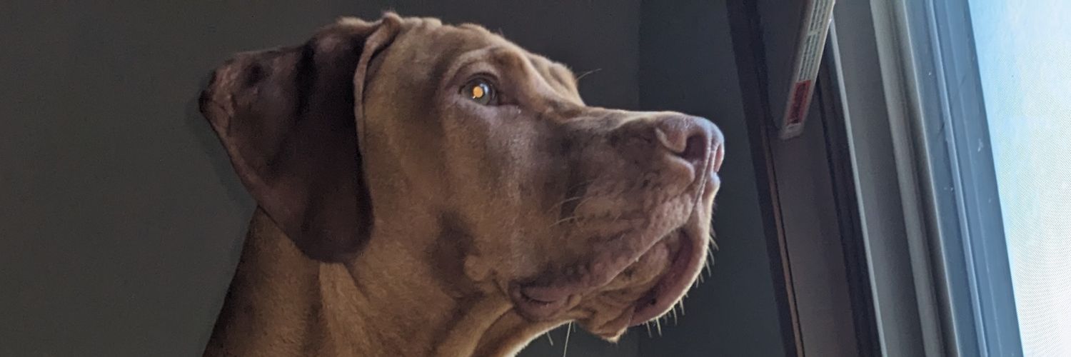 Bₑₙ ₘₒₒᵣₑ banner