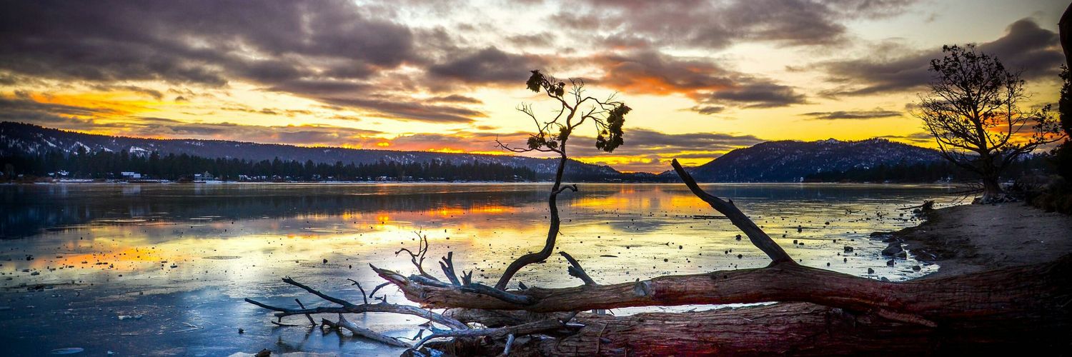 CryptoWrangler banner