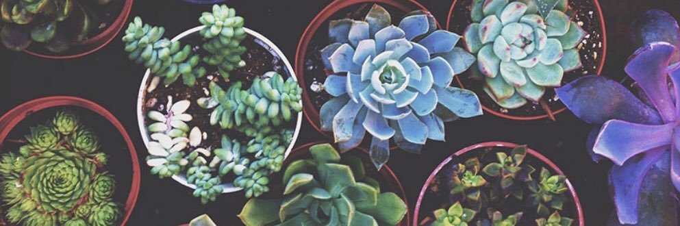 JKettner03's profile banner image