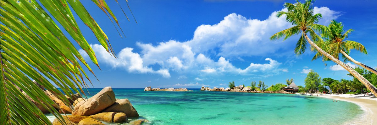rostprint's profile banner image