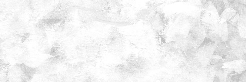 sae__hashimoto's profile banner image