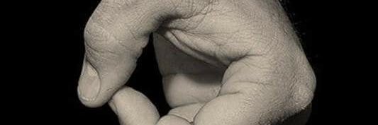 EveryBladeOfGrass banner