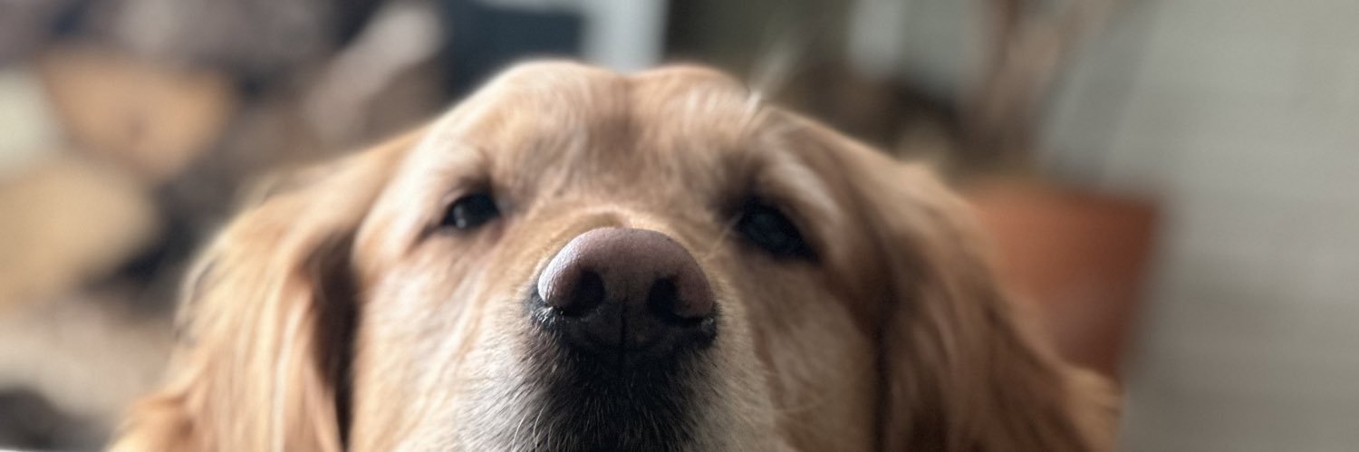 mareamelnick13's profile banner image