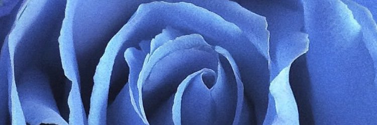 gececansin's profile banner image