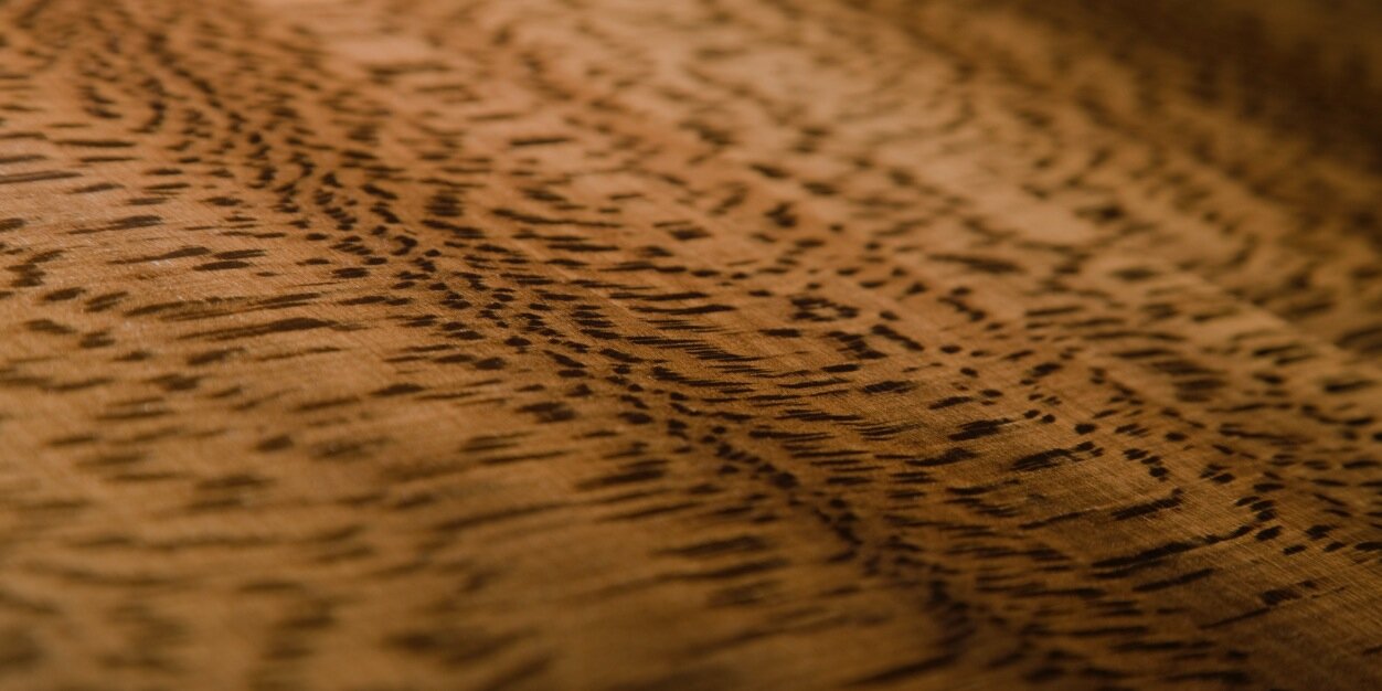 QncKuntze's profile banner image