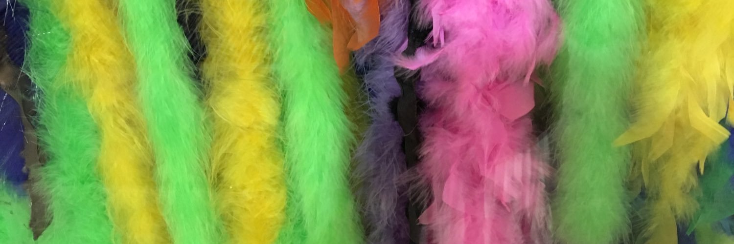 liz, totally unprofessional banner