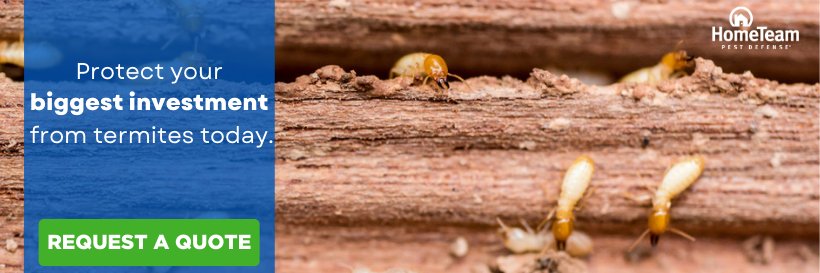 HomeTeamPestDefense banner