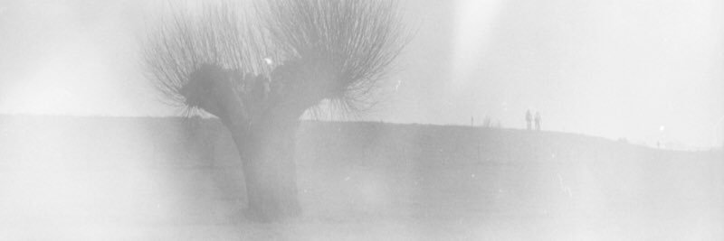 westmaasmaarten's profile banner image