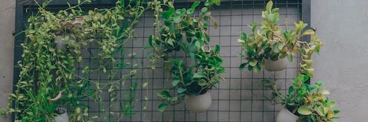 Michelina King banner