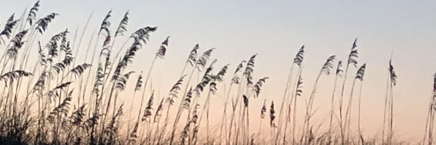 shermski67's profile banner image