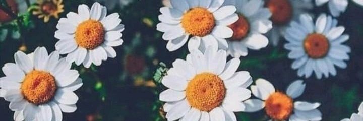 AriCba7's profile banner image
