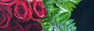 MsRqawe's profile banner image